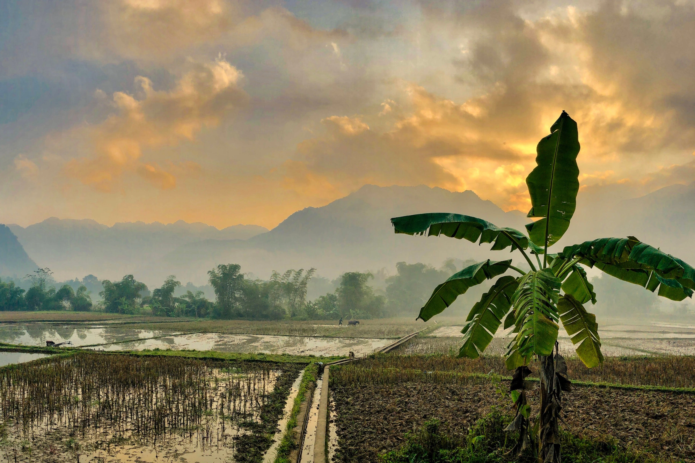 Mai_Châu_District[1].webp